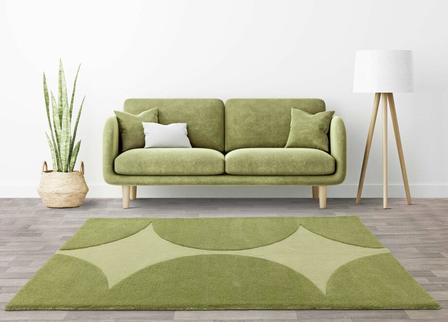 Asiatic dywan Canvas Reflect interior